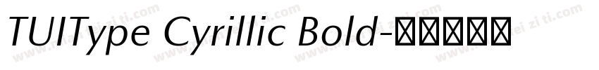 TUIType Cyrillic Bold字体转换